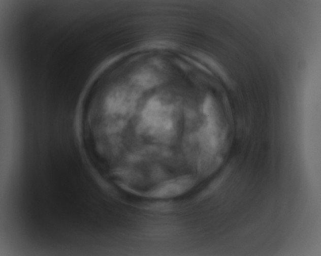 X0000100931038200807081208