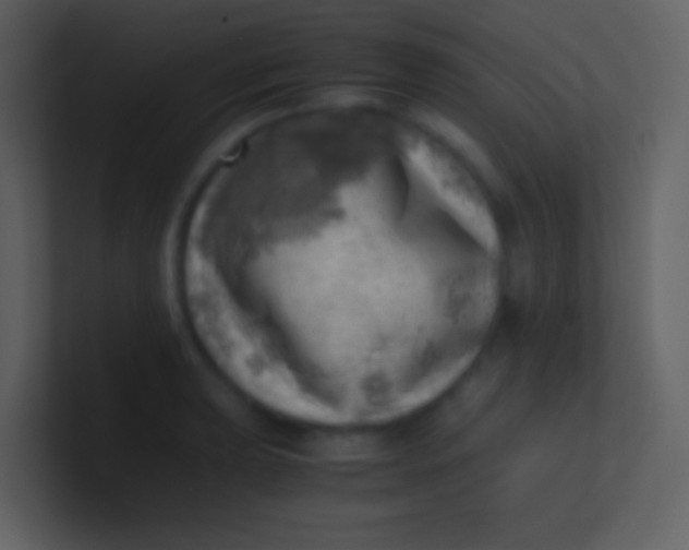 X0000100931039200807081208