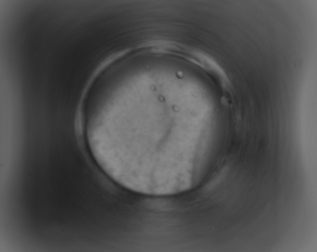 X0000100931040200807081208