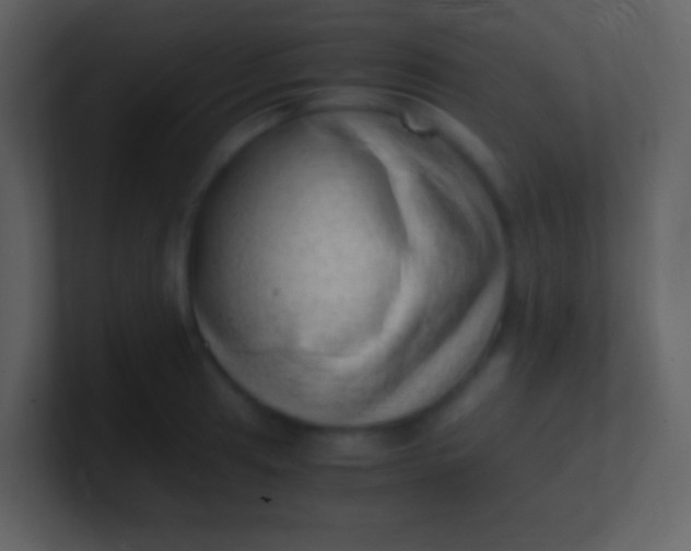 X0000100931041200807081208