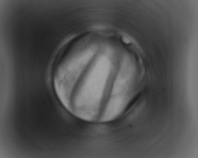 X0000100931042200807081208