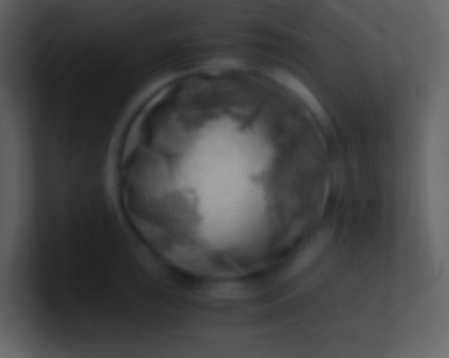 X0000100931043200807081208