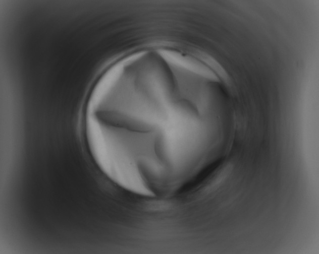 X0000100931044200807081208