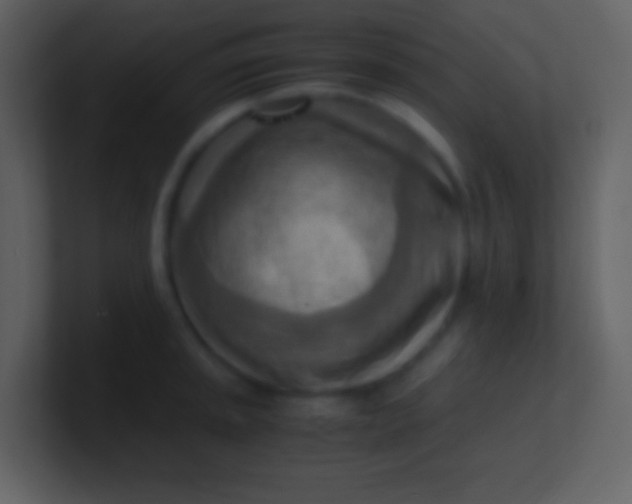 X0000100931045200807081208