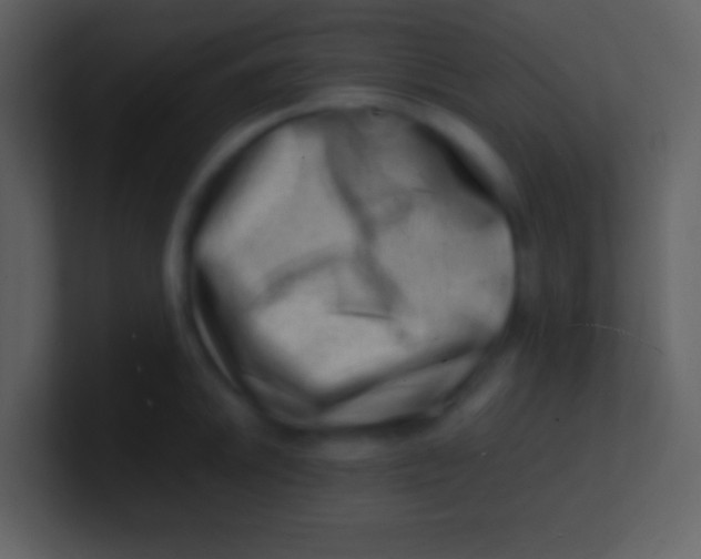 X0000100931046200807081208