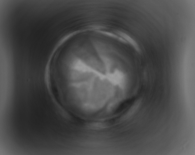 X0000100931047200807081208