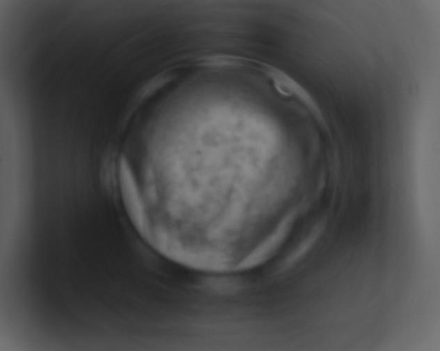 X0000100931049200807081208