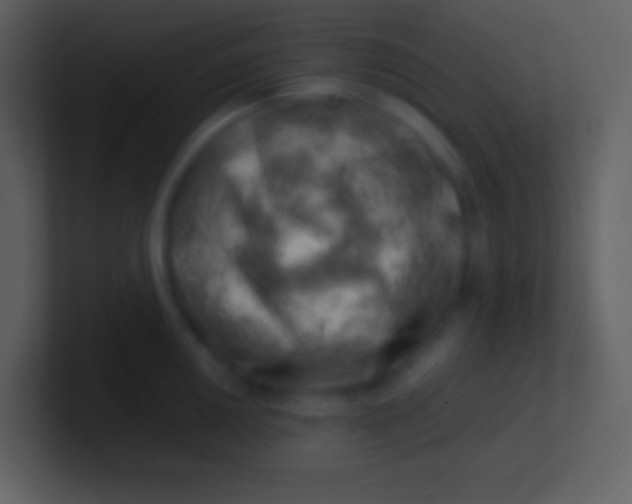 X0000100931050200807081208