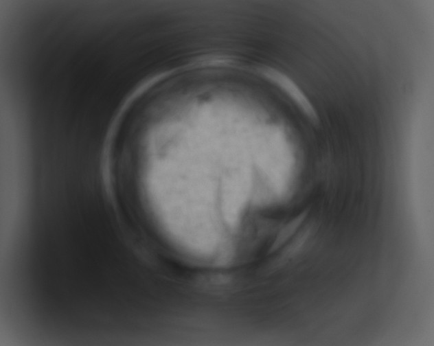 X0000100931051200807081208