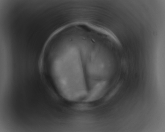 X0000100931052200807081208