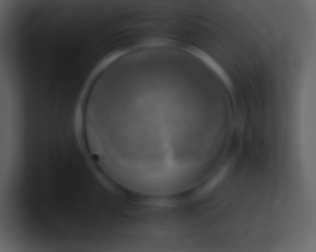 X0000100931053200807081208