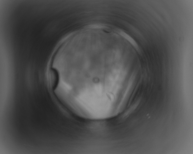 X0000100931055200807081209