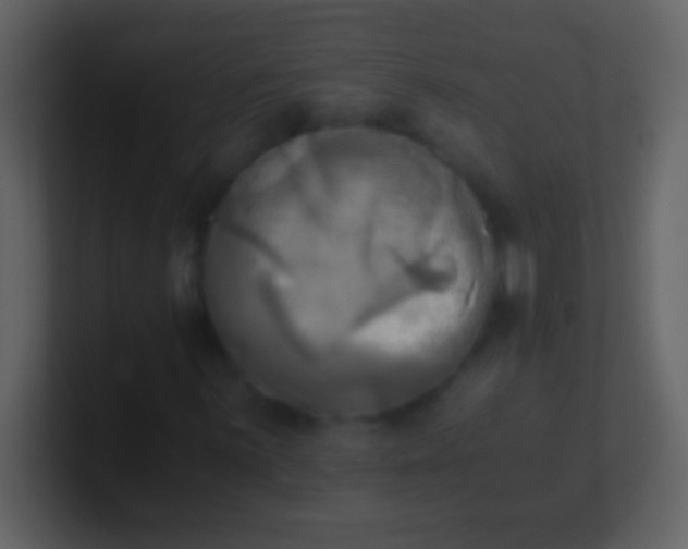 X0000100931059200807081208