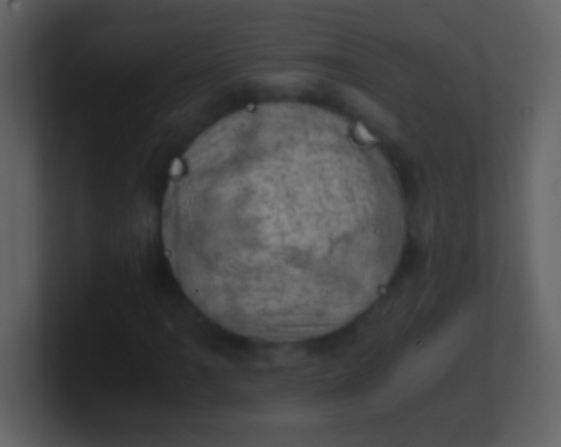 X0000100931061200807081208