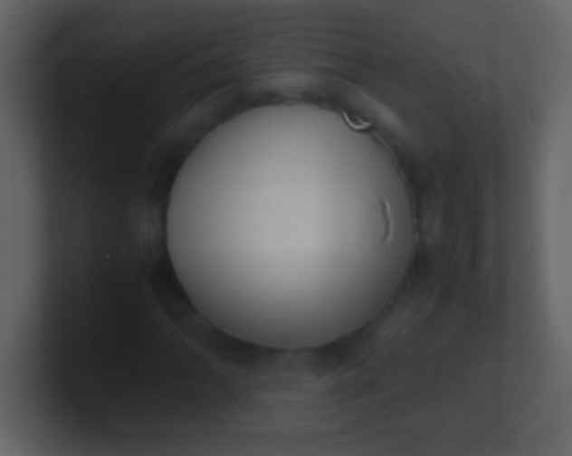 X0000100931062200807081208