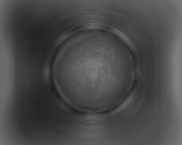 X0000100931065200807081208