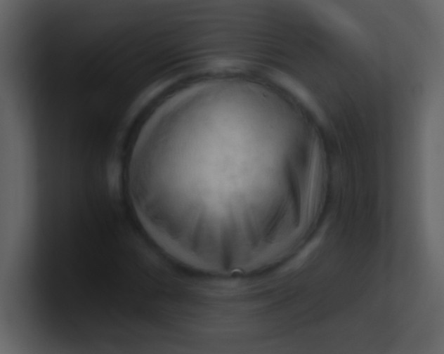 X0000100931066200807081208