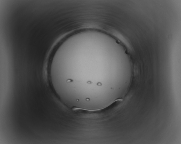 X0000100931068200807081208