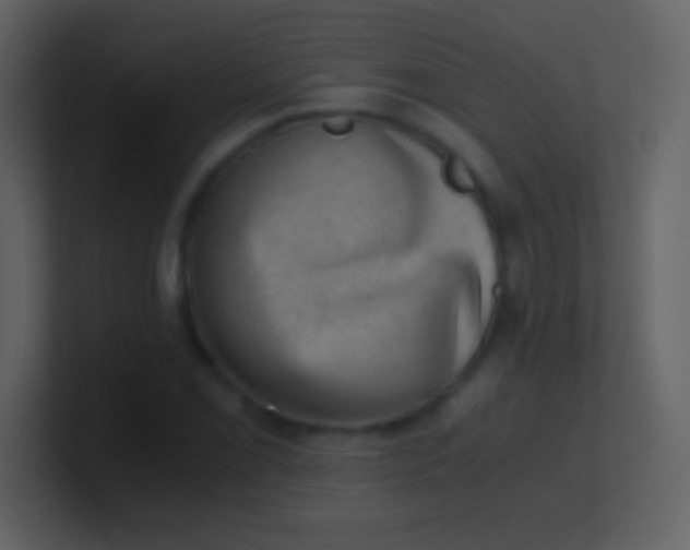 X0000100931069200807081208