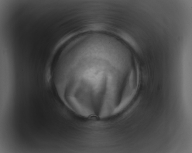 X0000100931070200807081208