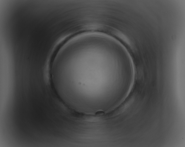 X0000100931071200807081208