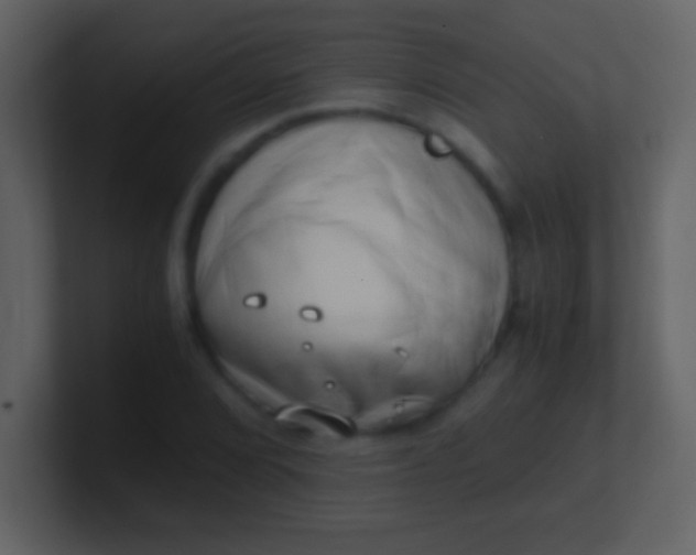 X0000100931072200807081208