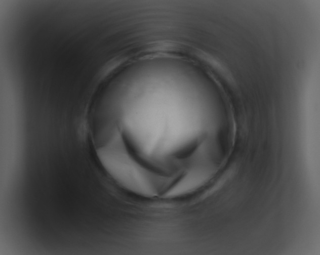 X0000100931073200807081208