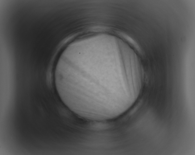 X0000100931074200807081208