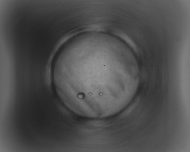 X0000100931075200807081208