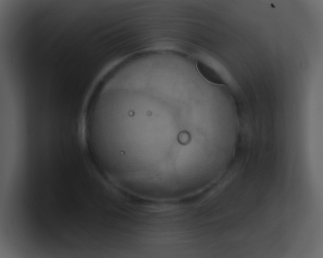 X0000100931076200807081208