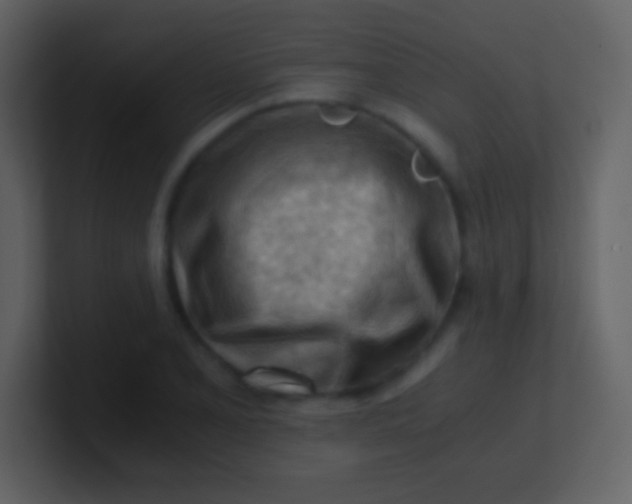 X0000100931077200807081208