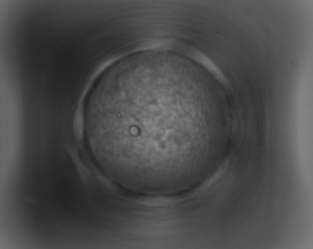 X0000100931079200807081208