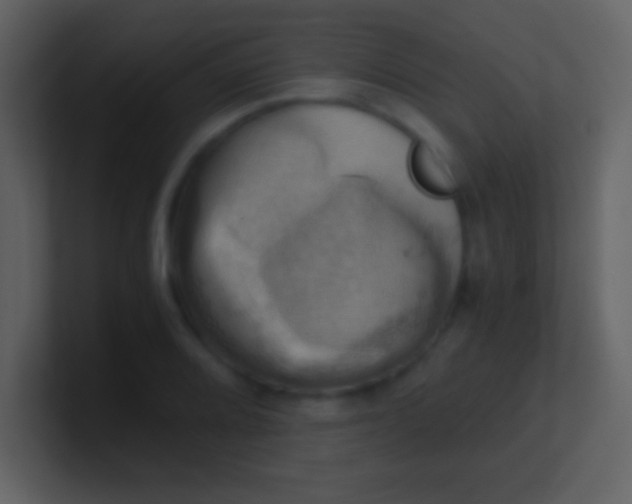 X0000100931080200807081208