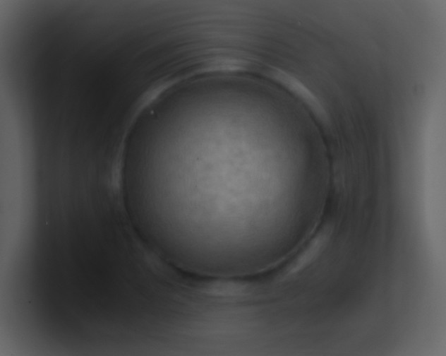 X0000100931081200807081208