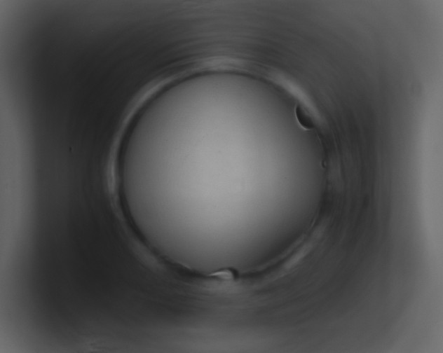 X0000100931082200807081207