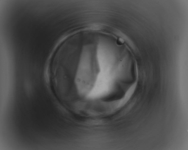 X0000100931083200807081207