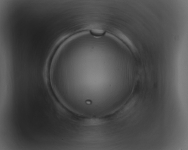 X0000100931087200807081207