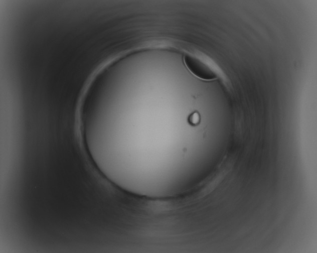 X0000100931088200807081207