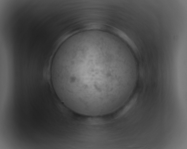 X0000100931089200807081207