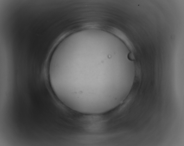 X0000100931090200807081207