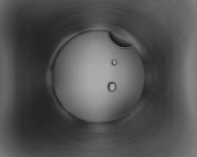 X0000100931092200807081207