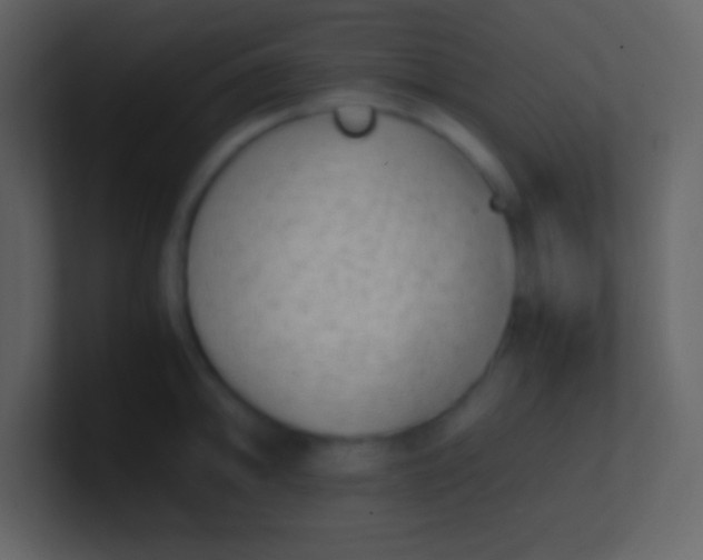 X0000100931094200807081207