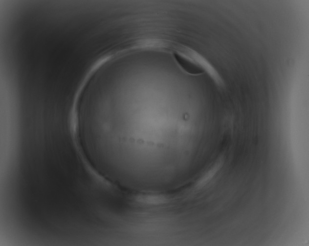 X0000100931095200807081207