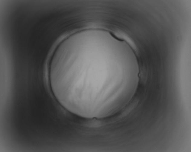 X0000100931096200807081207