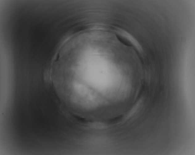 X0000100931097200807081207