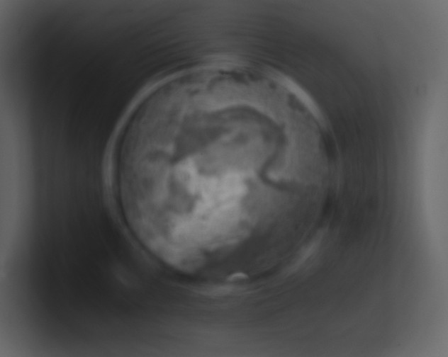 X0000100931099200807081207