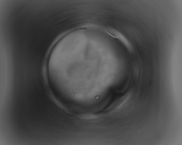 X0000100931100200807081207