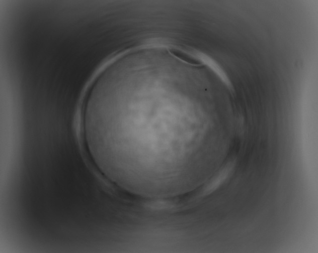 X0000100931101200807081207