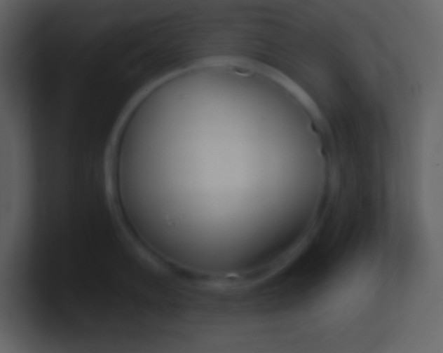 X0000100931102200807081207