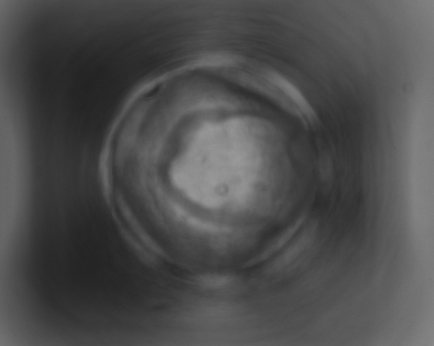 X0000100931103200807081207